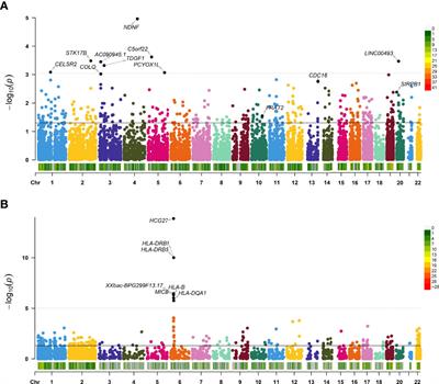 Frontiers | A Cross-Tissue Transcriptome-Wide Association Study ...